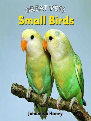 cover image of Small Birds